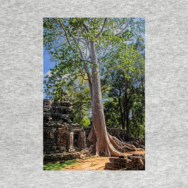 Giant Banyan Tree at Banteay Kdei by BrianPShaw